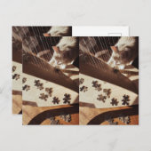 A Still Moment in Sunlight Briefkaart (Voorkant / Achterkant)