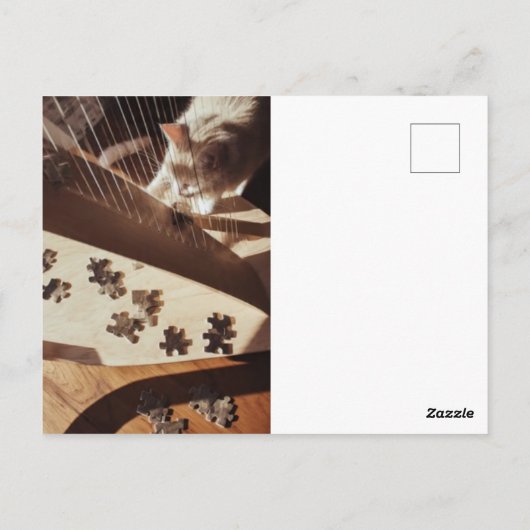 A Still Moment in Sunlight Briefkaart (Achterkant)