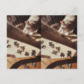 A Still Moment in Sunlight Briefkaart (Voorkant)