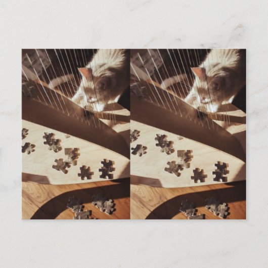 A Still Moment in Sunlight Briefkaart (Voorkant)