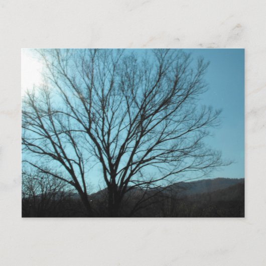 A-structuur Briefkaart (Voorkant)