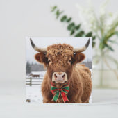 A Sweet Highland Cow on a Snowy Christmas Day Feestdagenkaart (Staand voorkant)