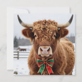 A Sweet Highland Cow on a Snowy Christmas Day Feestdagenkaart (Voorkant)