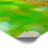 A Tarsier's Tranquil Slumber in Bohol Poster (Hoek)