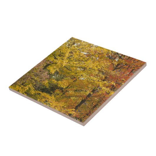 a tegeltje (Zijkant)
