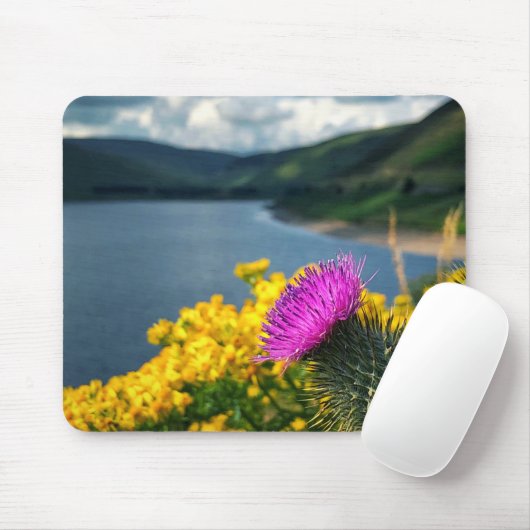 A Thistle overlooking Megget Reservoir Mouse Muismat (Met muis)