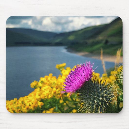 A Thistle overlooking Megget Reservoir Mouse Muismat (Voorkant)