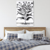 A Tobacco Plant, 1622 Canvas Afdruk (Insitu (Slaapkamer))