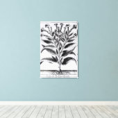 A Tobacco Plant, 1622 Canvas Afdruk (Insitu (Houten vloer))