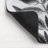 A Tobacco Plant, 1622 Muismat (Hoek)