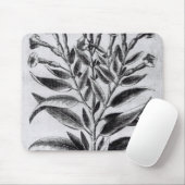 A Tobacco Plant, 1622 Muismat (Met muis)