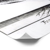 A Tobacco Plant, 1622 Poster (Hoek)