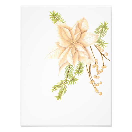 A Touch of Gold Foto Afdruk (Voorkant)