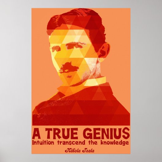 A True Genius -Nikola Tesla- Poster (Voorkant)