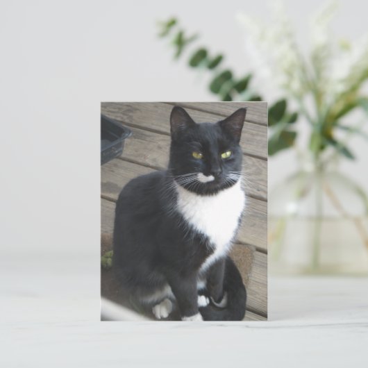 A Tuxedo Cat Briefkaart (Staand voorkant)