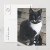 A Tuxedo Cat Briefkaart (Voorkant / Achterkant)