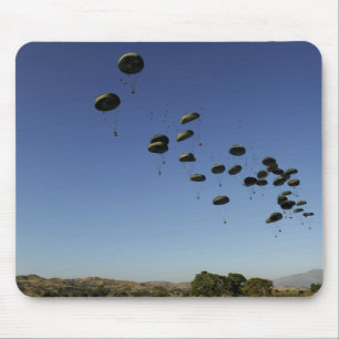 A US Air Force C-17 Globemaster III 2 Muismat