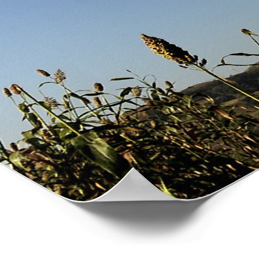 A US Air Force C-17 Globemaster III 2 Poster (Hoek)