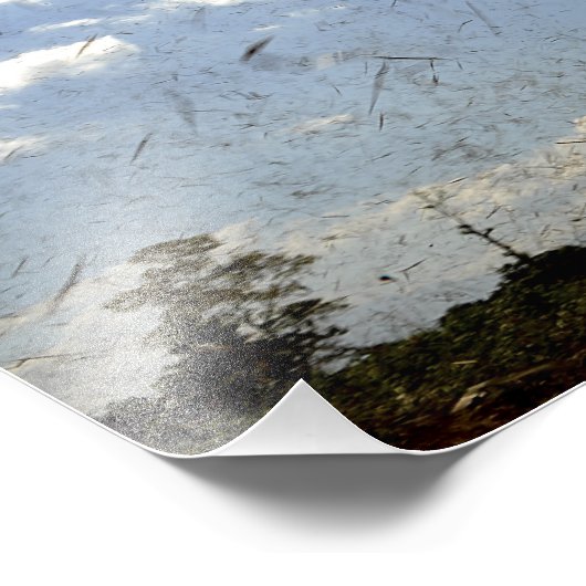 A US Navy HH-60 Seahawk Foto Afdruk (Hoek)