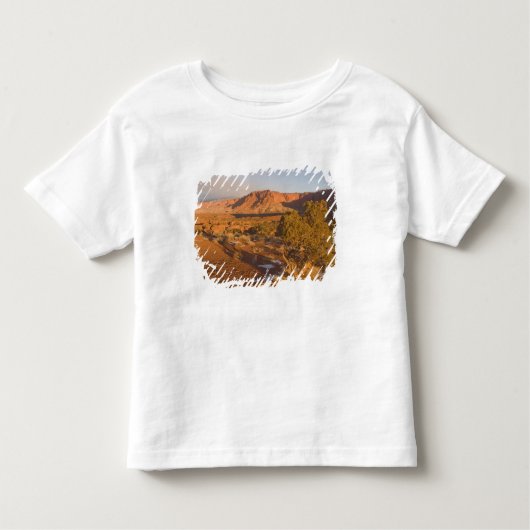A Utah Juniper Juniperus osteosperma), boom 2 Kinder Shirts (Voorkant)