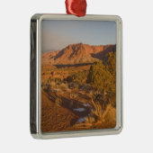 A Utah Juniper Juniperus osteosperma), boom 2 Metalen Ornament (Rechts)