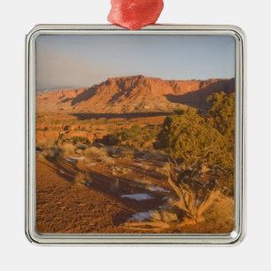 A Utah Juniper Juniperus osteosperma), boom 2 Metalen Ornament