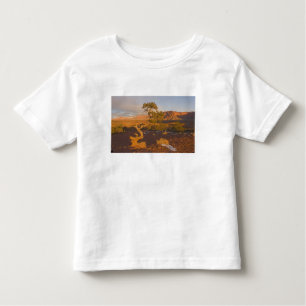 A Utah Juniper Juniperus osteosperma) Kinder Shirts
