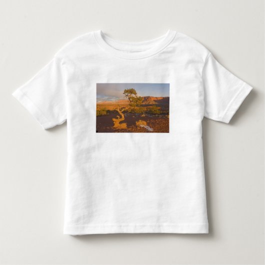 A Utah Juniper Juniperus osteosperma) Kinder Shirts (Voorkant)