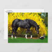 "A Very Bad Idea" Briefkaart (Voorkant / Achterkant)