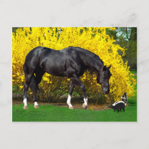 "A Very Bad Idea" Briefkaart