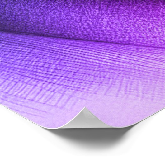 A Very Handsome Young Man on a 24x24 Wall Poster (Hoek)