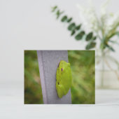 A vibrant green tree frog perches on a metal rail. briefkaart (Staand voorkant)