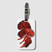 A vibrant red betta fish swimming. bagagelabel (Voorkant (verticaal))