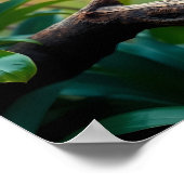 A vibrant Toucan Tropical Jungle Poster (Hoek)