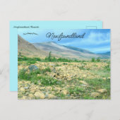 A View of Newfoundland Briefkaart (Voorkant / Achterkant)