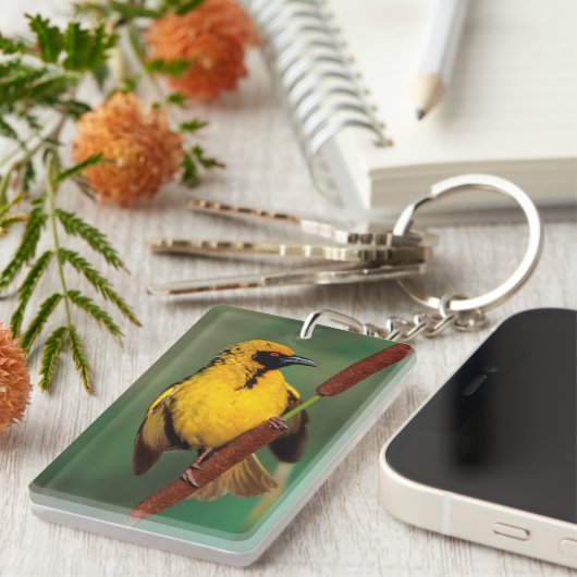A Village Weaver calling while perched on a Reed Sleutelhanger (Voorkant Rechts)