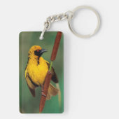 A Village Weaver calling while perched on a Reed Sleutelhanger (achterkant)