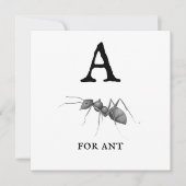"A" voor Ant (Voorkant)
