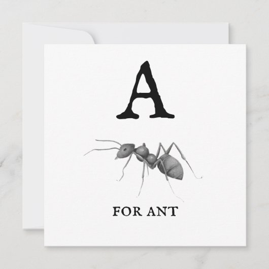 "A" voor Ant (Voorkant)