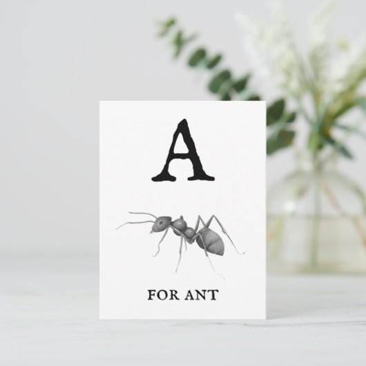 "A" voor Ant  Briefkaart (Staand voorkant)