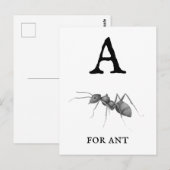 "A" voor Ant  Briefkaart (Voorkant / Achterkant)
