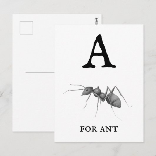 "A" voor Ant  Briefkaart (Voorkant / Achterkant)