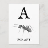 "A" voor Ant  Briefkaart (Voorkant)