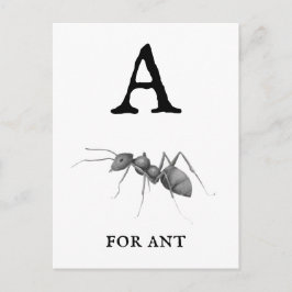"A" voor Ant Briefkaart