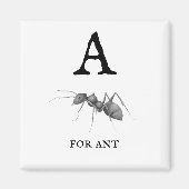 "A" voor Ant Magneet (Voorkant)
