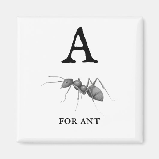 "A" voor Ant Magneet (Voorkant)