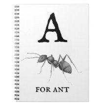 "A" voor Ant