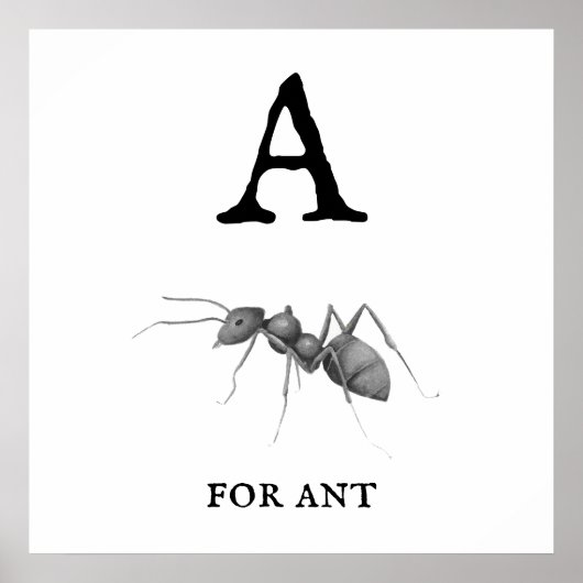 "A" voor Ant Poster (Voorkant)
