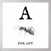 "A" voor Ant Poster (Voorkant)