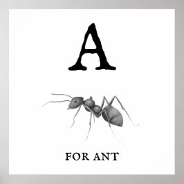 "A" voor Ant Poster